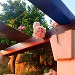 Seaside House In With Excellent Views, Large Terraces 아파트