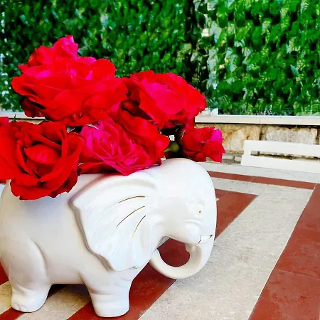 Seaside House In With Excellent Views, Large Terraces Dubrovnik