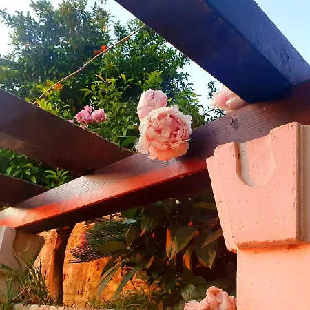 Seaside House In With Excellent Views, Large Terraces Apartman