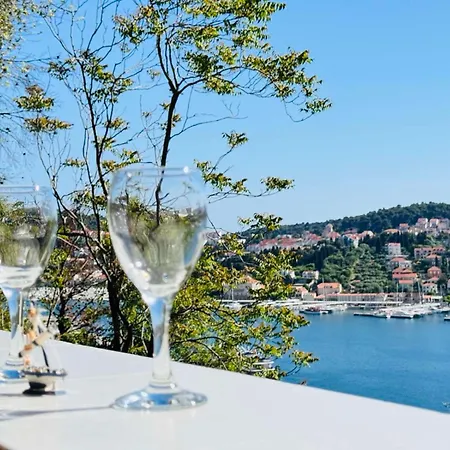 Seaside House In With Excellent Views, Large Terraces Dubrownik