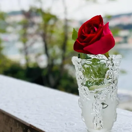 Seaside House In With Excellent Views, Large Terraces Apartman Dubrovnik