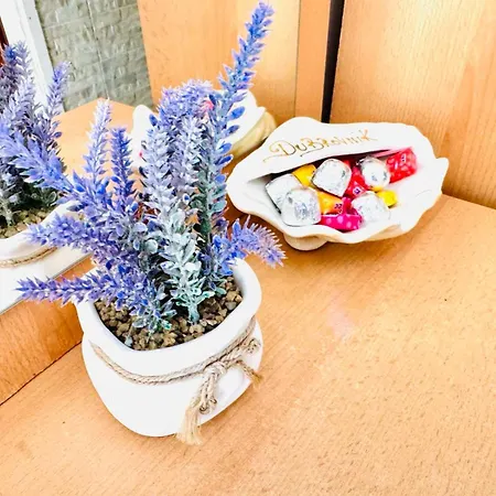 Apartman Seaside House In With Excellent Views, Large Terraces *