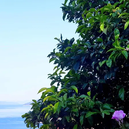 Seaside House In With Excellent Views, Large Terraces *